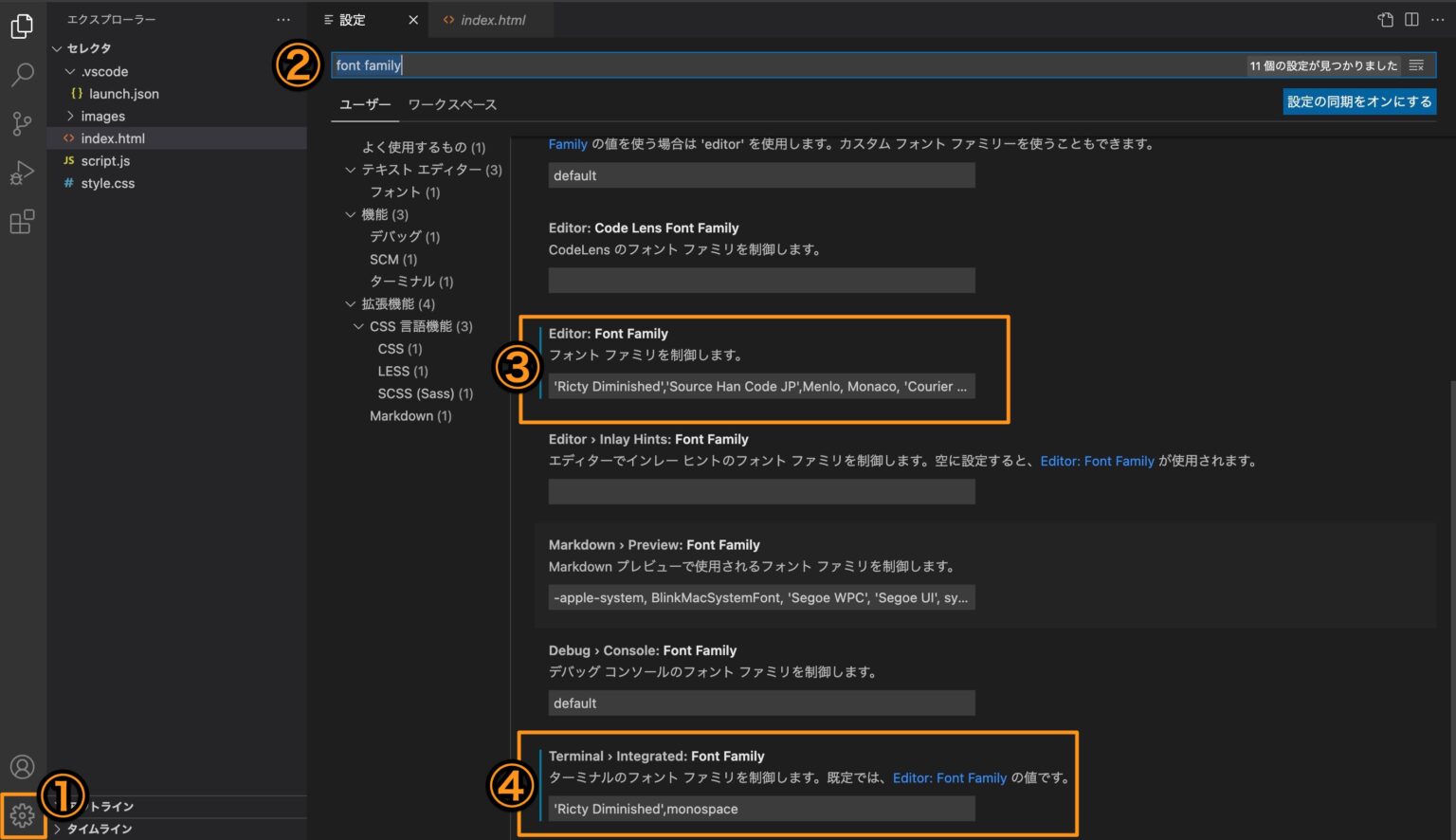 VSCode フォントファミリやサイズ等を変更する方法 logsuke